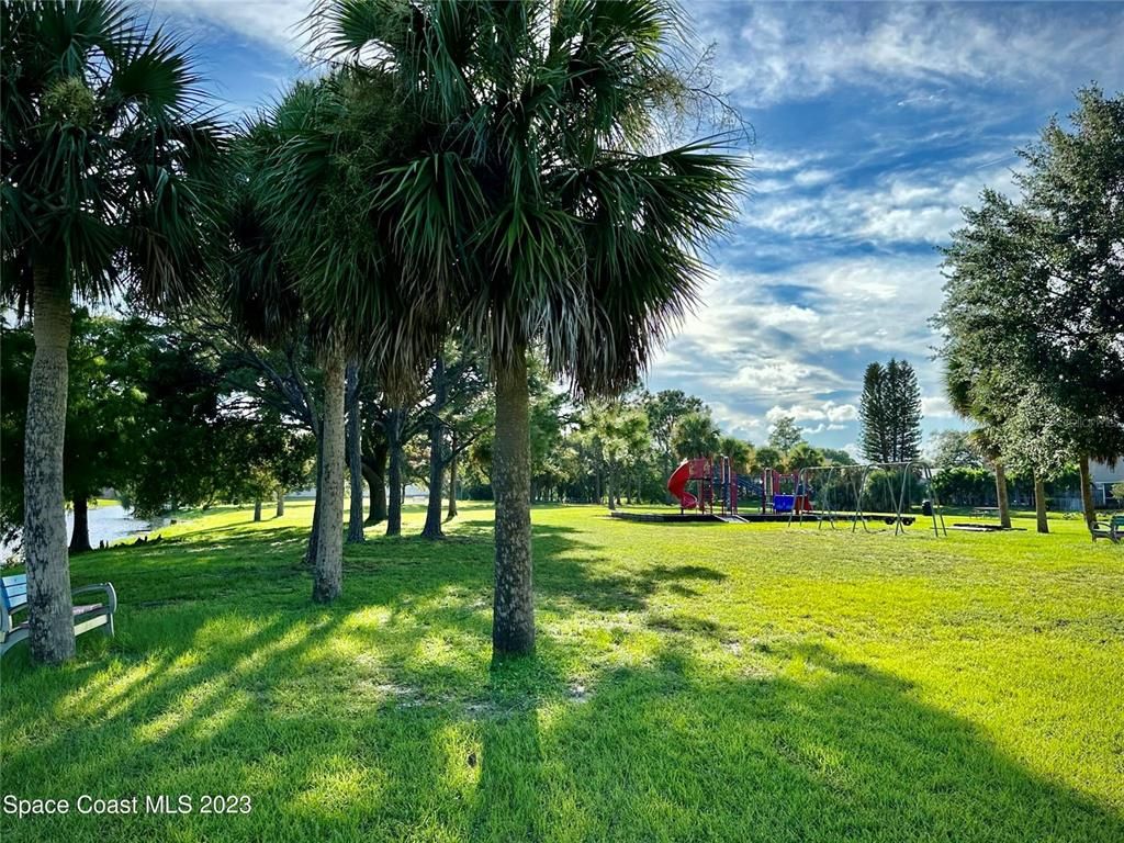 Backyard, Exterior, Playground