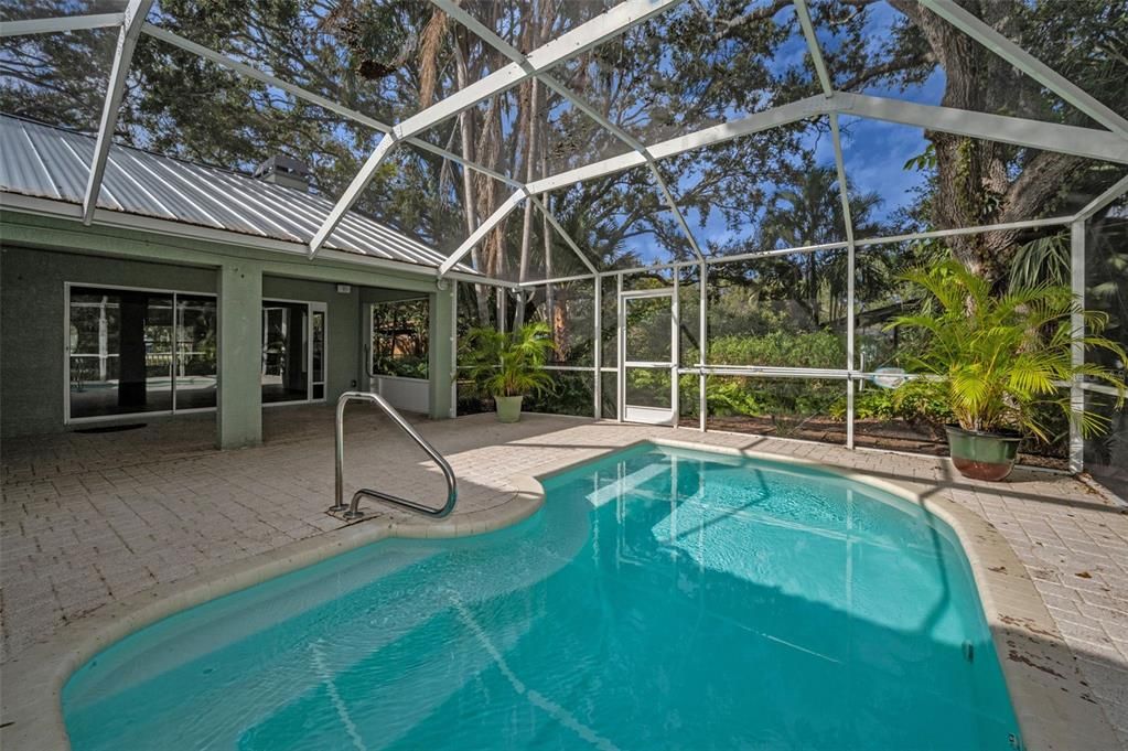 Glass Ceilings, Interior, Pool, Sun Room