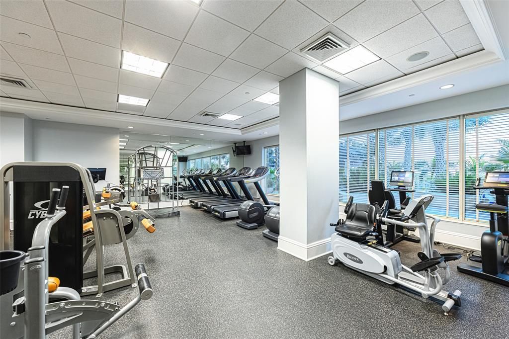 Fitness Equipment, Gym, Interior, Recessed Lighting