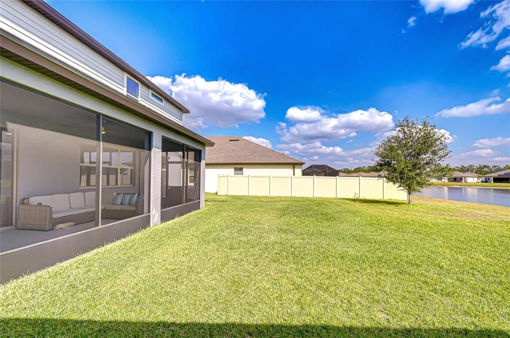 Backyard, Exterior, Water