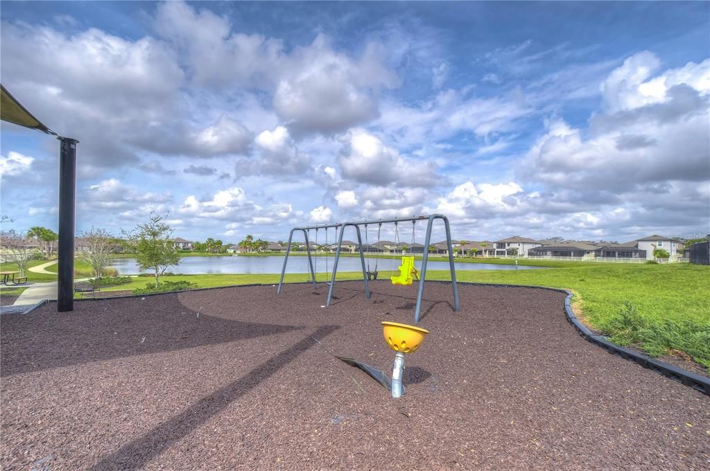 Backyard, Exterior, Playground