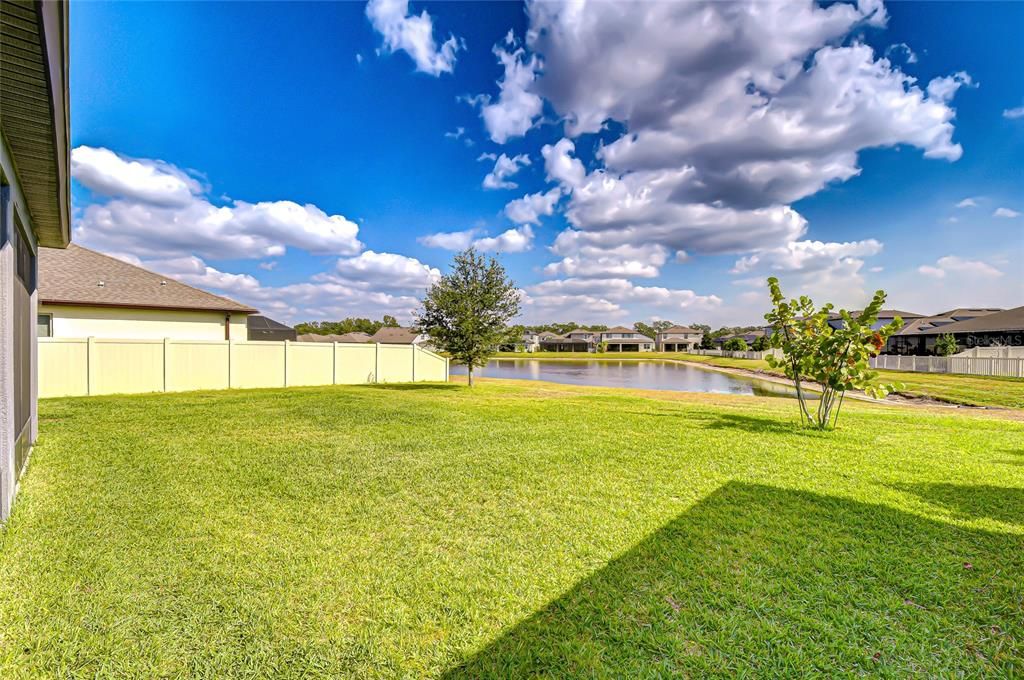 Backyard, Exterior, Water