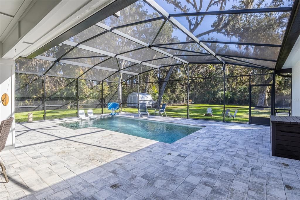 Glass Ceilings, Interior, Pool, Sun Room