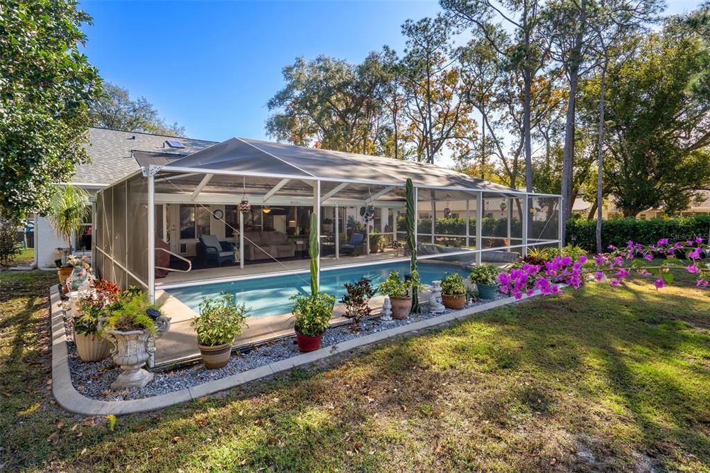 Backyard, Exterior, Pool