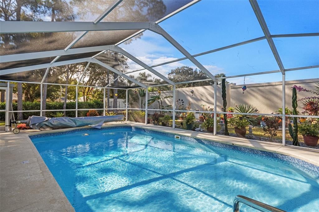 Glass Ceilings, Interior, Pool, Sun Room