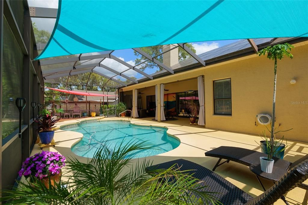 Glass Ceilings, Interior, Pool, Sun Room
