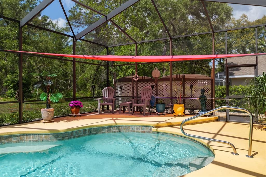 Glass Ceilings, Interior, Pool, Sun Room
