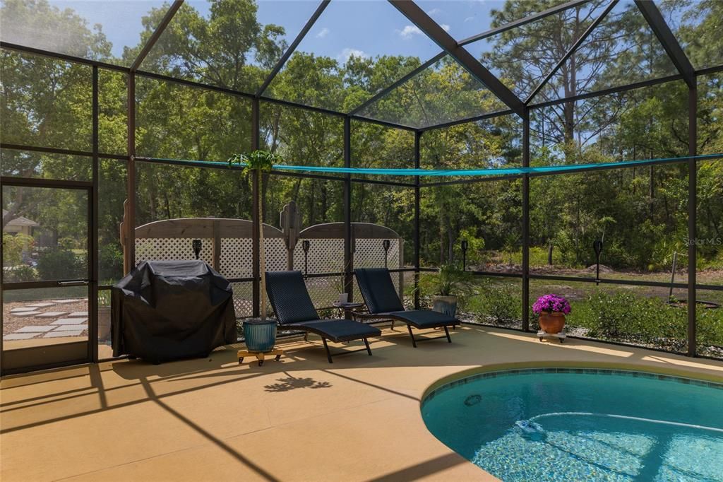 Glass Ceilings, Interior, Pool, Sun Room