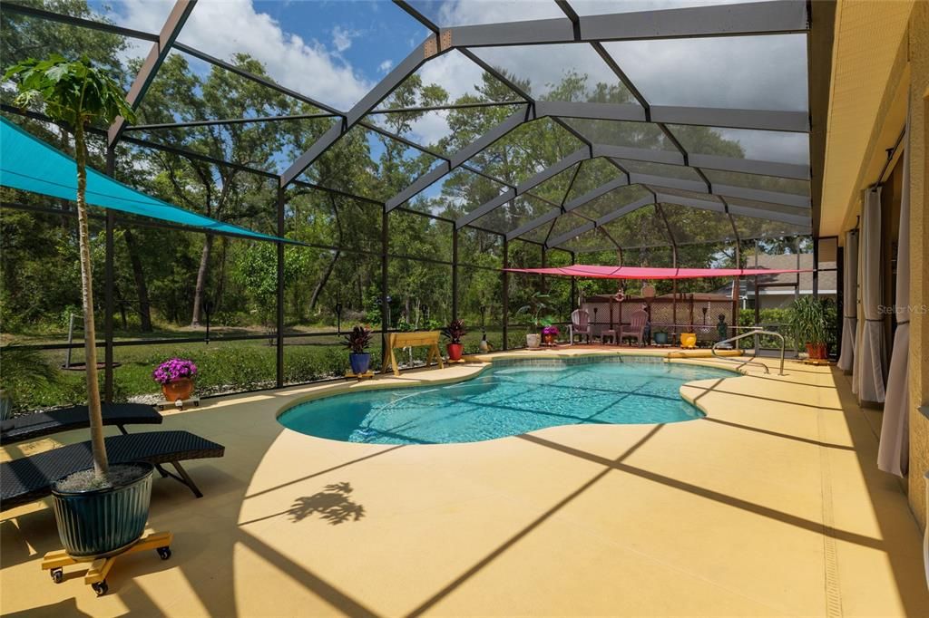 Glass Ceilings, Interior, Pool, Sun Room