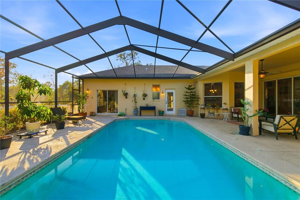 Glass Ceilings, Interior, Pool, Sun Room