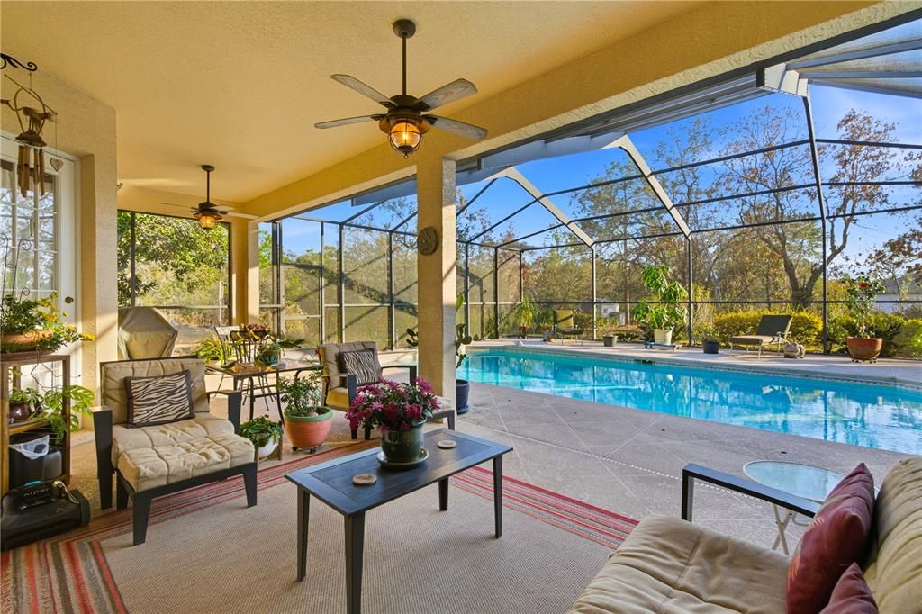 Glass Ceilings, Interior, Pool, Sun Room