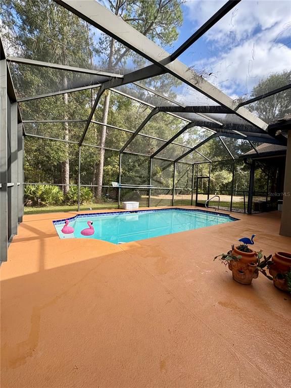 Glass Ceilings, Interior, Pool, Sun Room