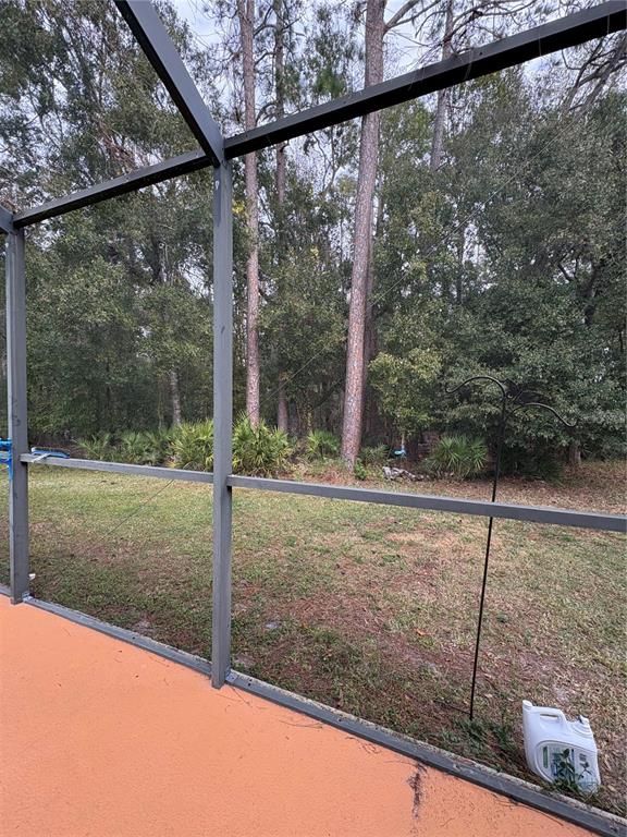 Glass Ceilings, Interior, Sun Room