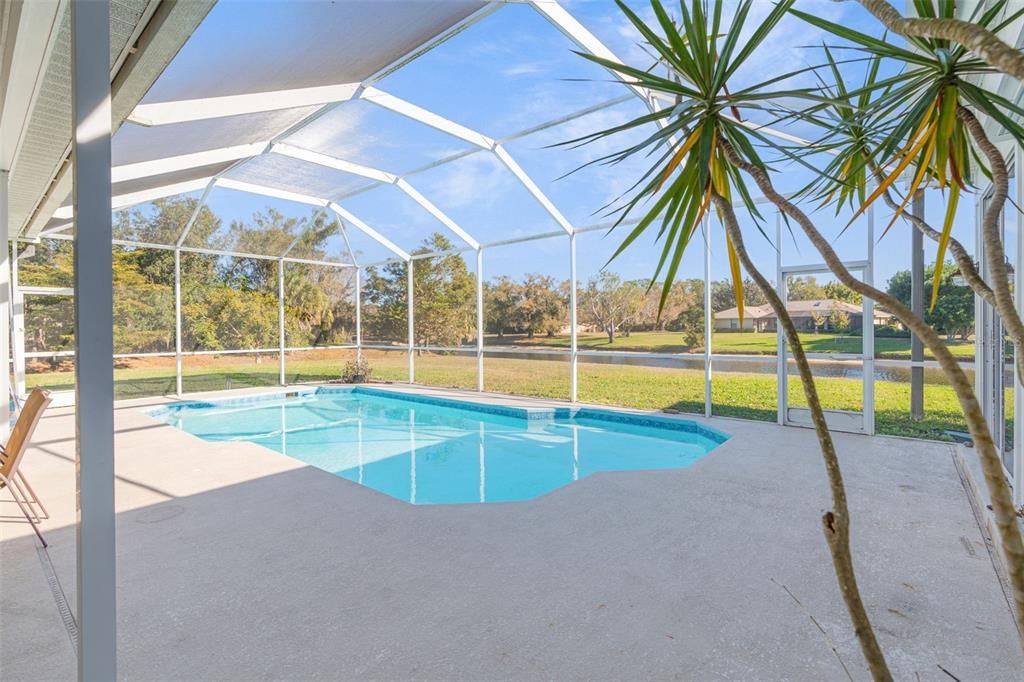 Glass Ceilings, Interior, Pool, Sun Room