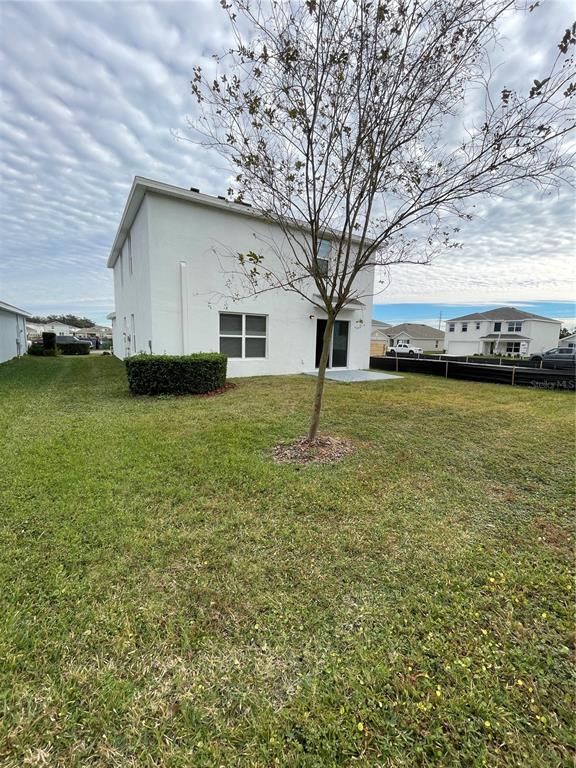 Backyard, Exterior, Water