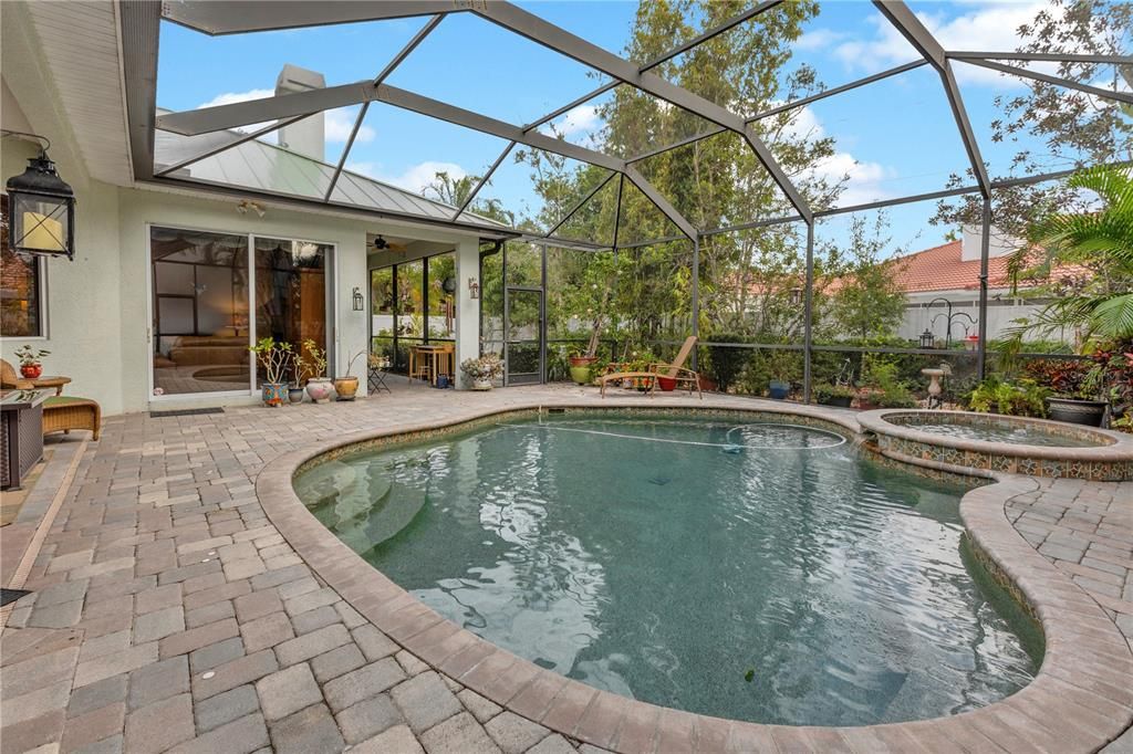 Glass Ceilings, Interior, Pool, Sun Room