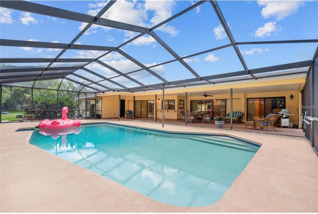 Glass Ceilings, Interior, Pool, Sun Room