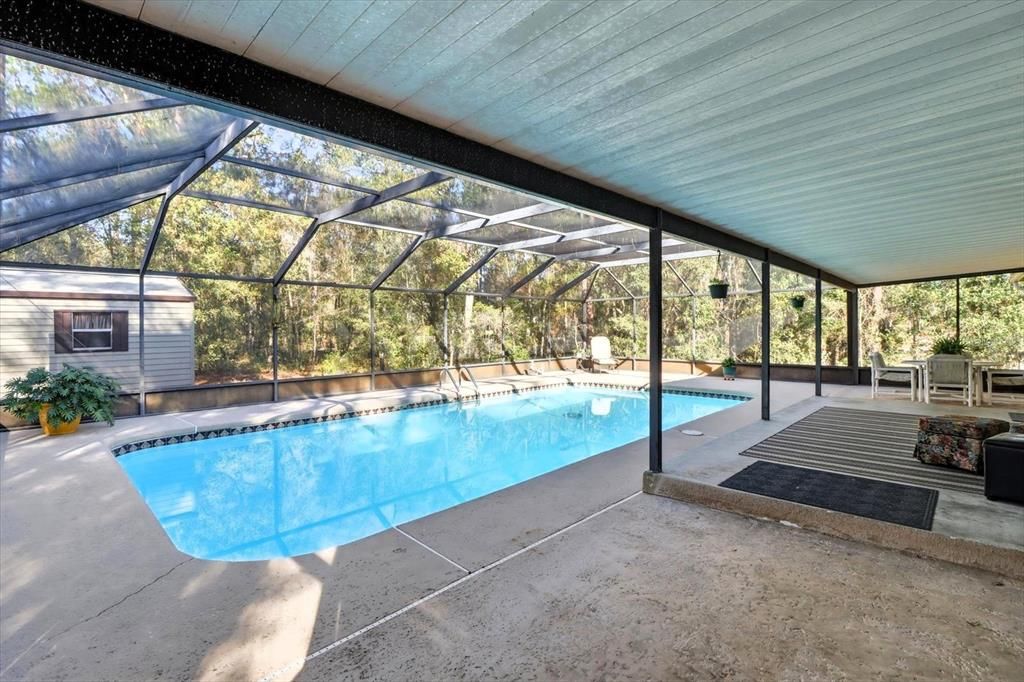 Glass Ceilings, Interior, Pool, Sun Room
