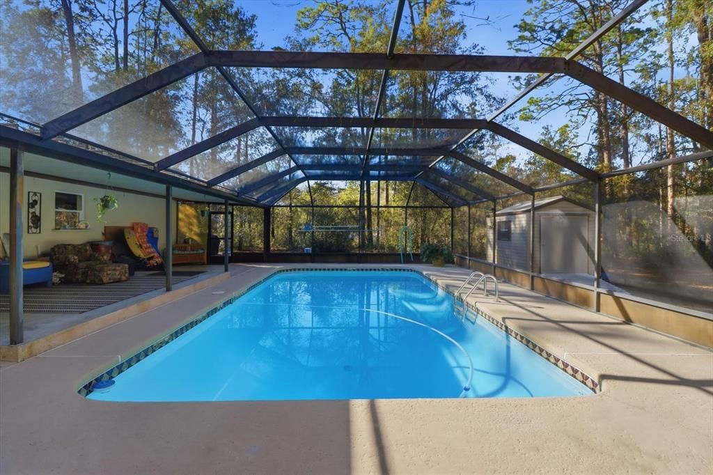 Glass Ceilings, Interior, Pool, Sun Room