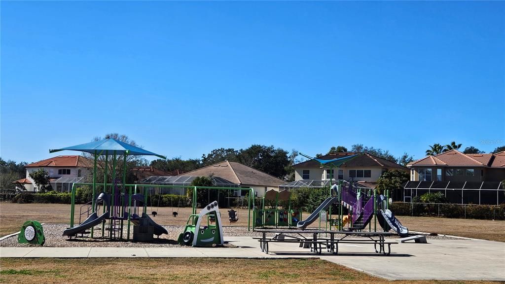 Backyard, Exterior, Playground