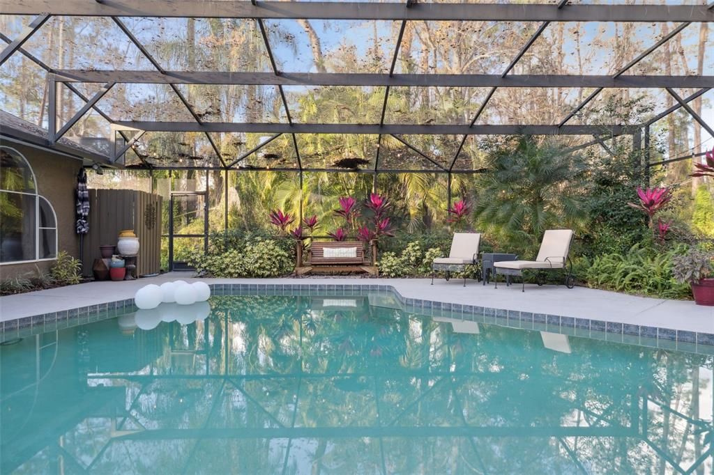 Glass Ceilings, Interior, Pool, Sun Room