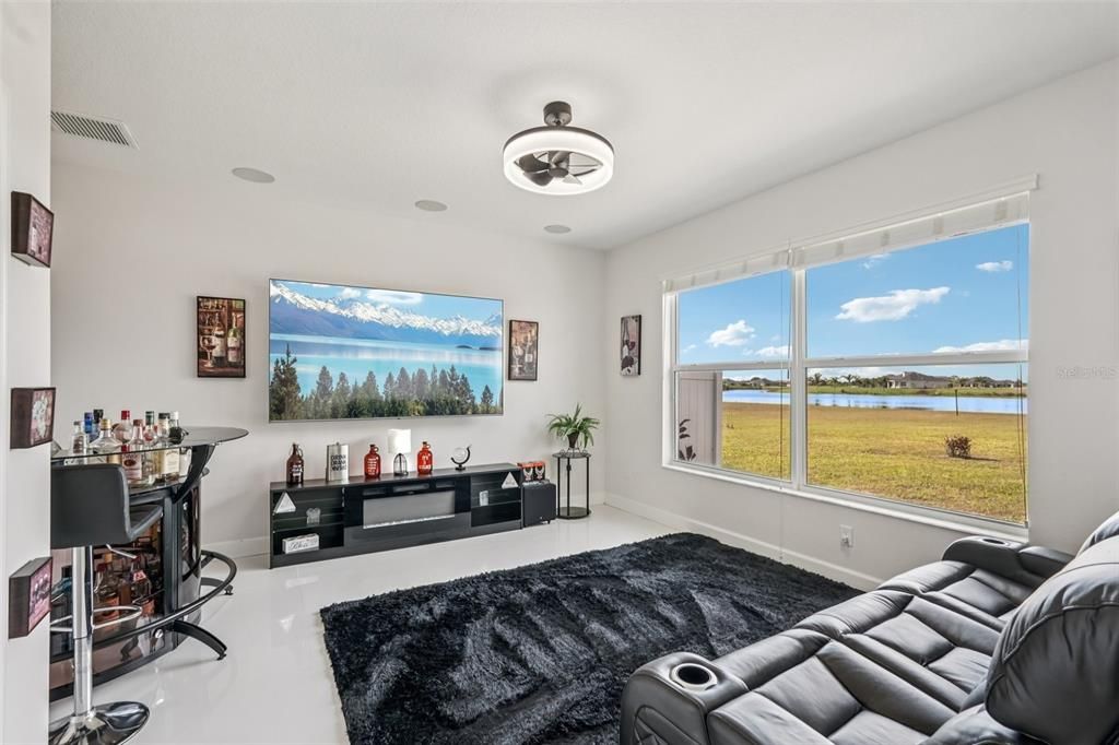 Home Theatre Room, Interior, Water