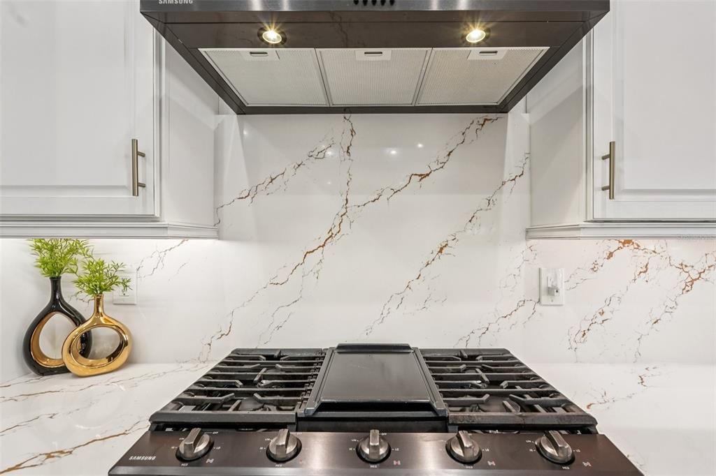 Interior, Kitchen, Marble Walls, Stainless Steel Appliances