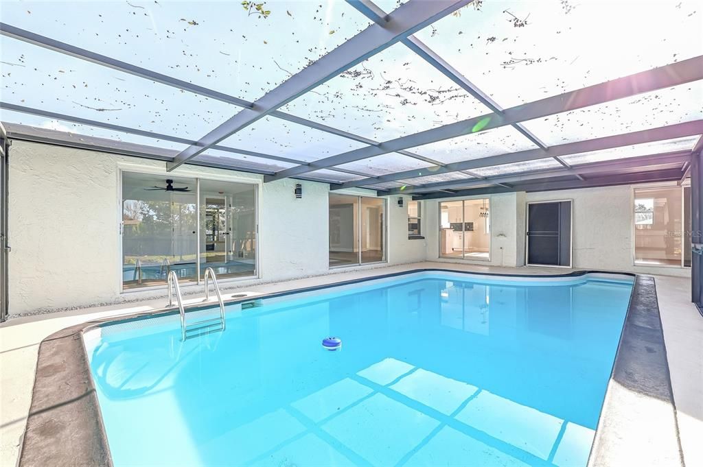 Glass Ceilings, Interior, Pool, Sun Room