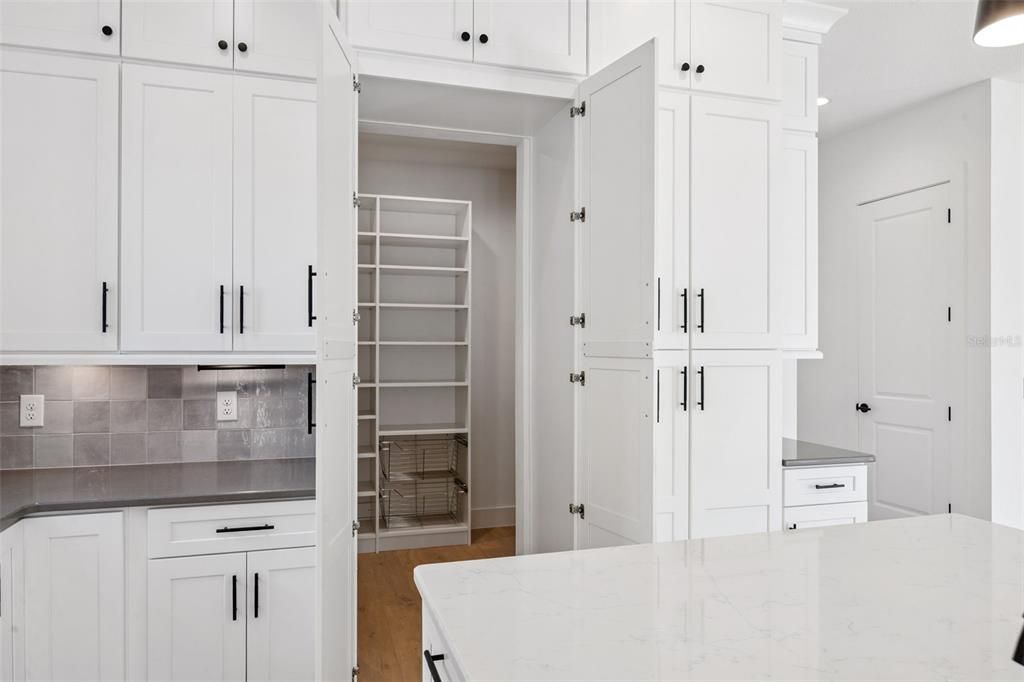 Interior, Walk-in Closets, Wood Texture Flooring