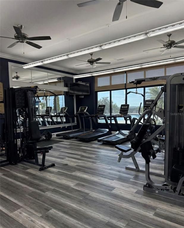 Fitness Equipment, Gym, Interior, Wood Texture Flooring