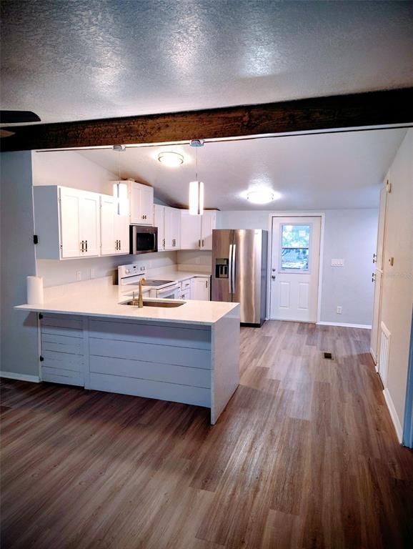Interior, Kitchen, Stainless Steel Appliances, Wood Texture Flooring