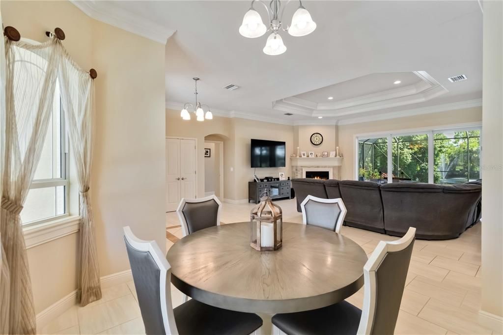 Dining room, Fireplace, Interior, Living room, Pendant Lights, Recessed Lighting