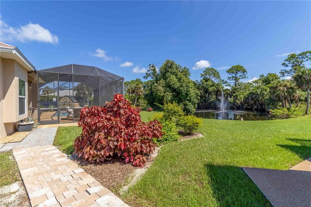 Backyard, Exterior, Water