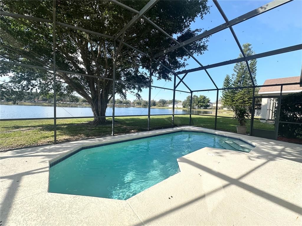 Glass Ceilings, Interior, Pool, Sun Room, Water