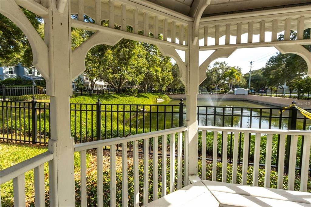 Backyard, Exterior, Water