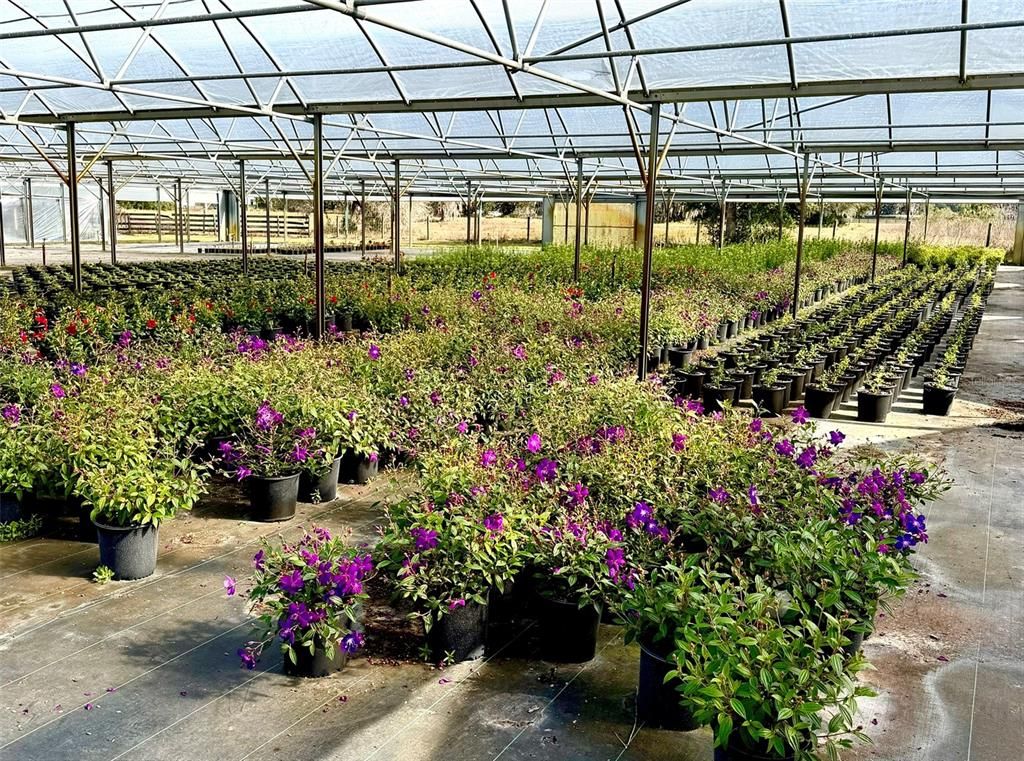 Glass Ceilings, Interior, Sun Room