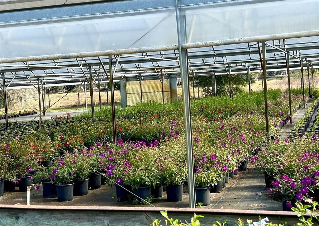 Glass Ceilings, Interior, Sun Room