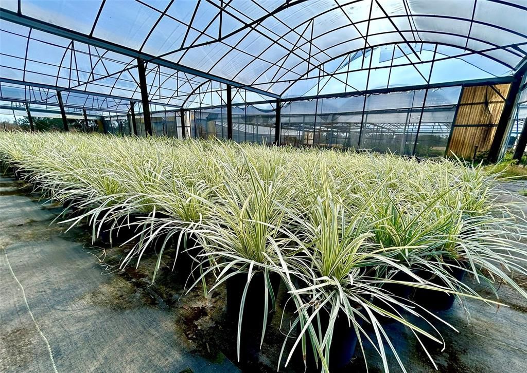Glass Ceilings, Interior, Sun Room
