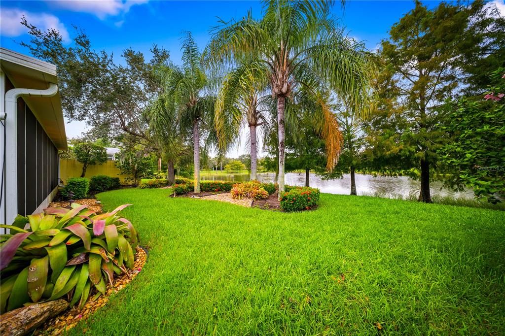 Backyard, Exterior, Water