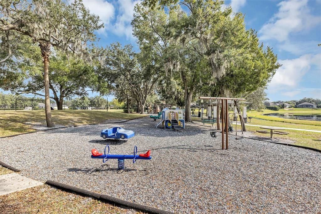Backyard, Exterior, Playground