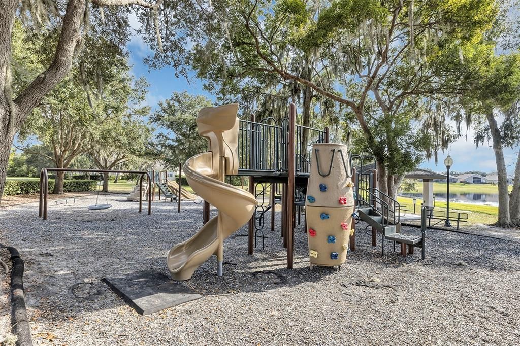 Backyard, Exterior, Playground