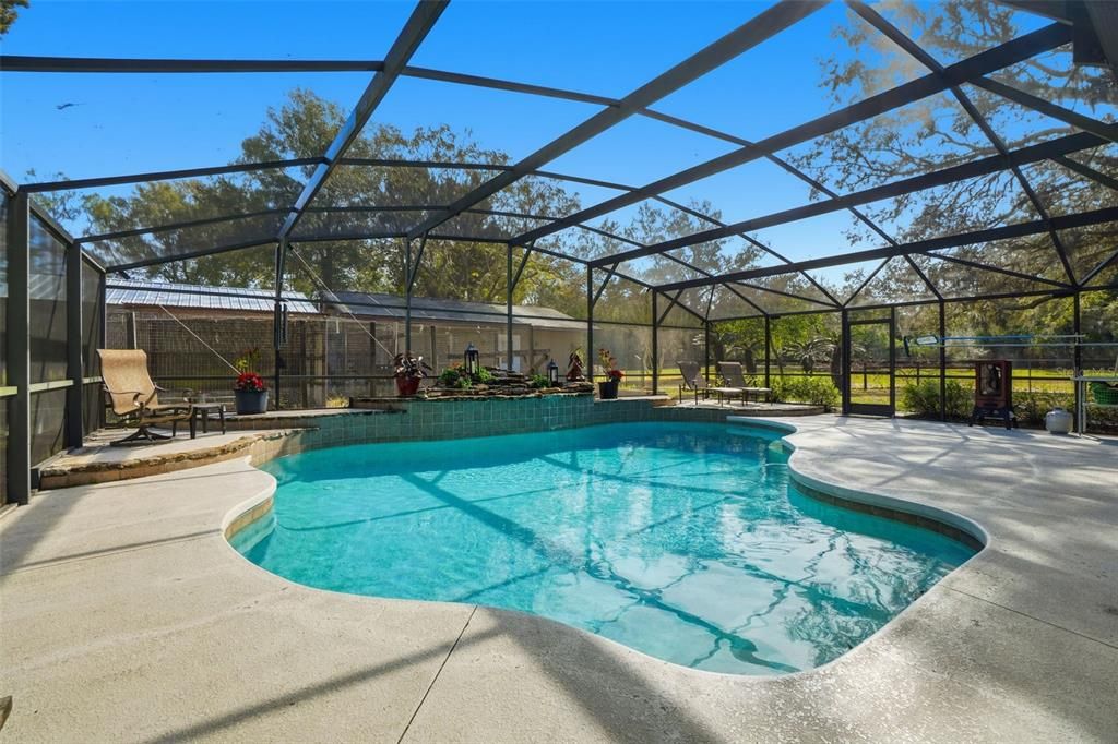 Glass Ceilings, Interior, Pool, Sun Room