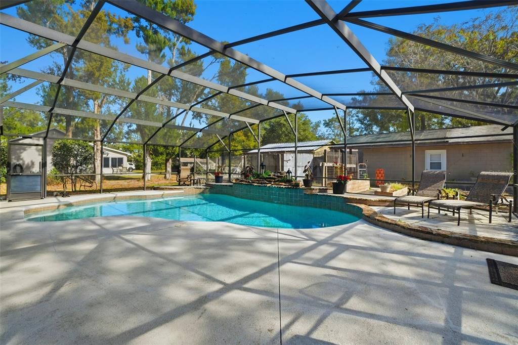 Glass Ceilings, Interior, Pool, Sun Room