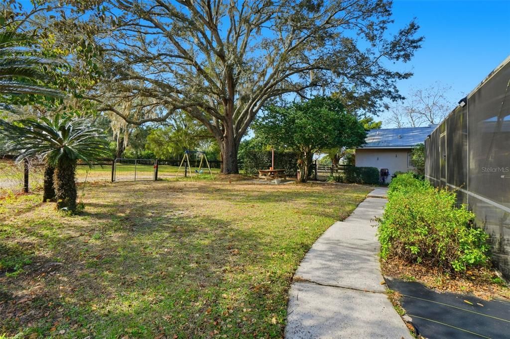 Backyard, Exterior, Playground