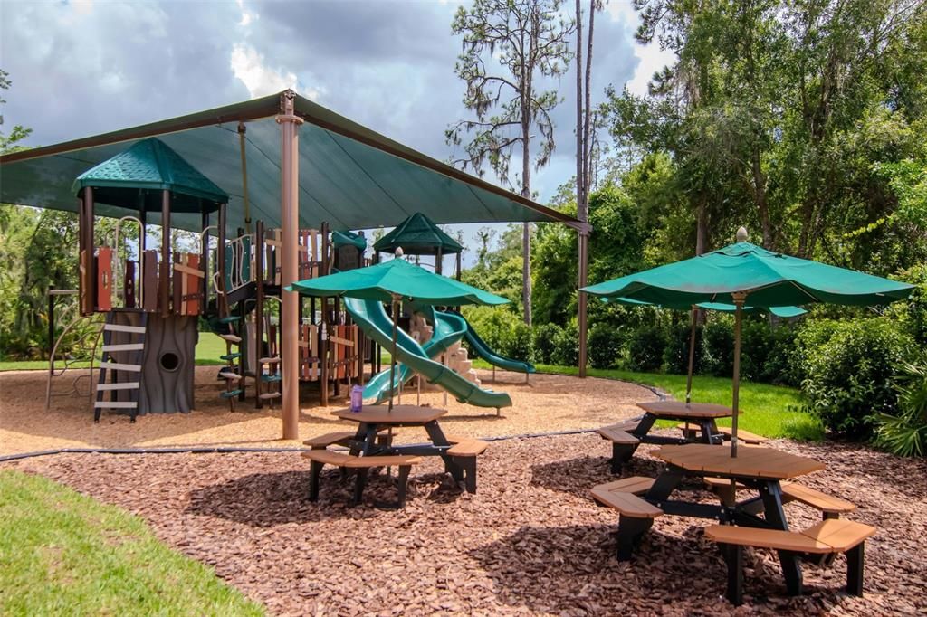 Backyard, Exterior, Playground