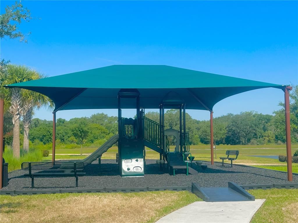 Backyard, Exterior, Playground