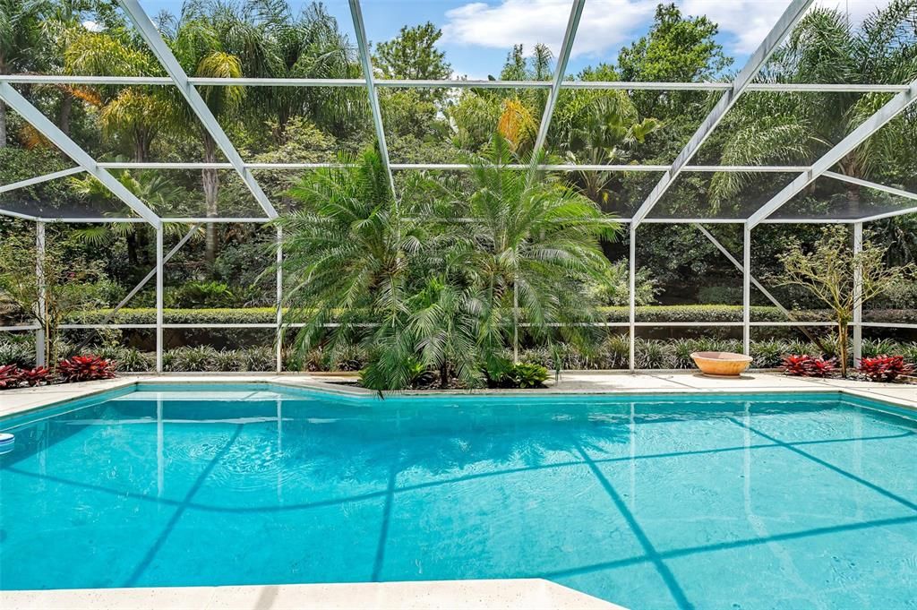 Glass Ceilings, Interior, Pool, Sun Room