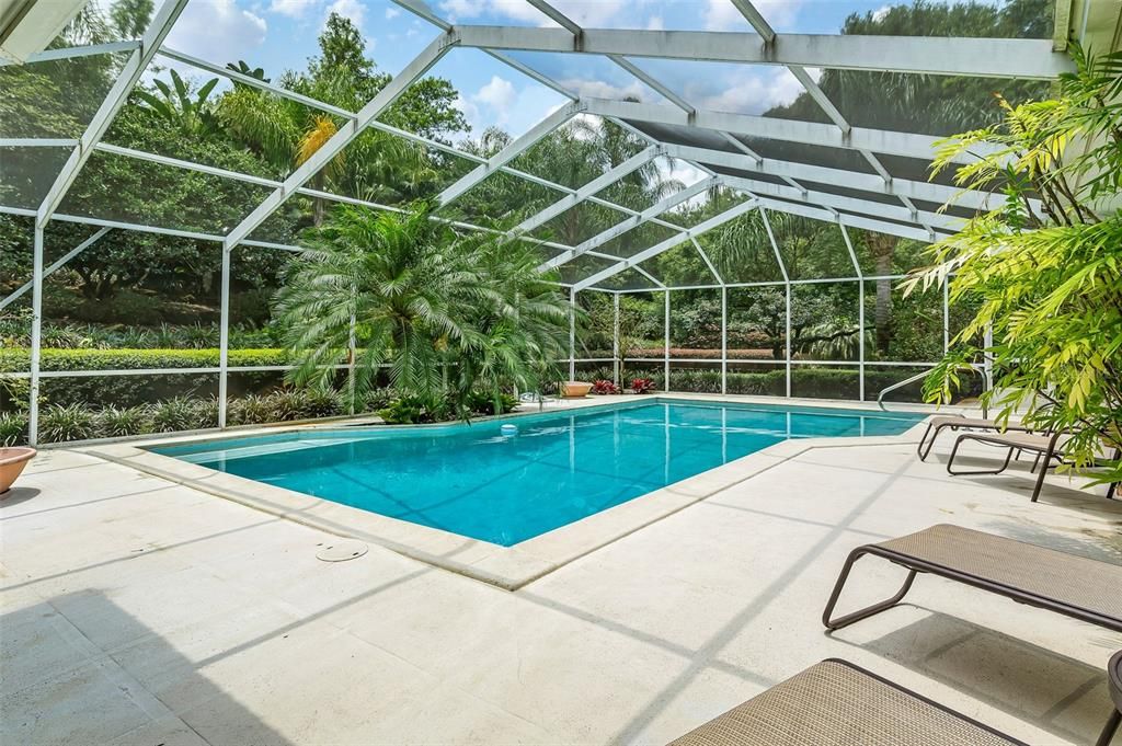 Glass Ceilings, Interior, Pool, Sun Room