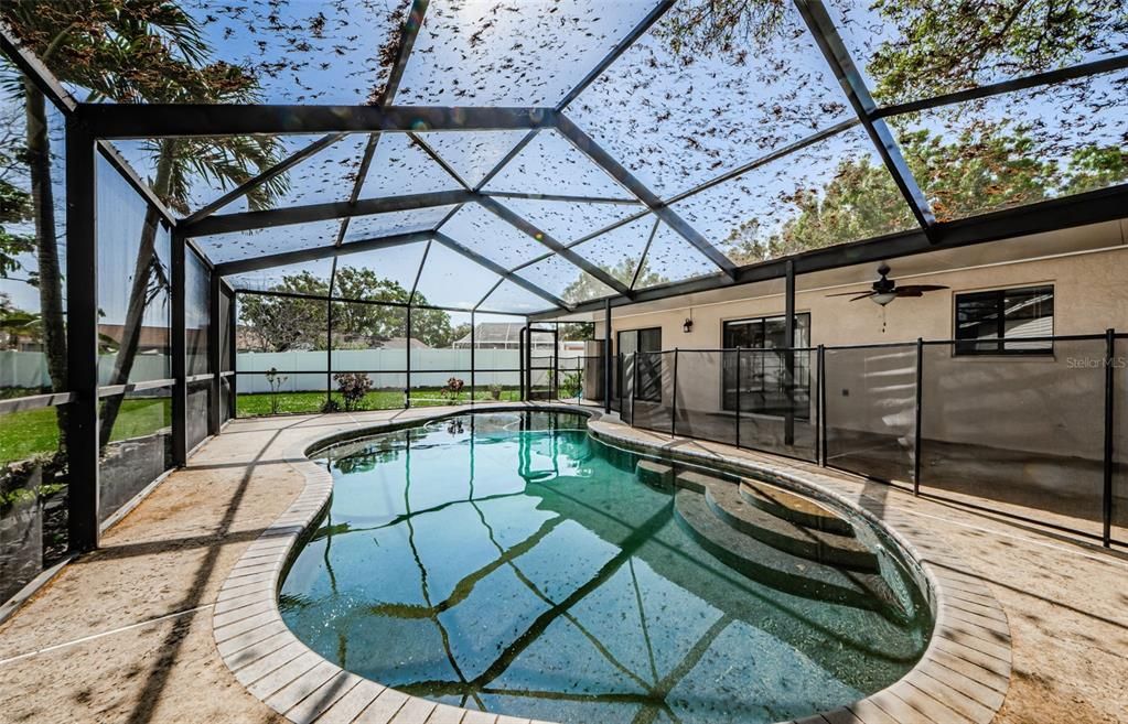 Glass Ceilings, Interior, Pool, Sun Room