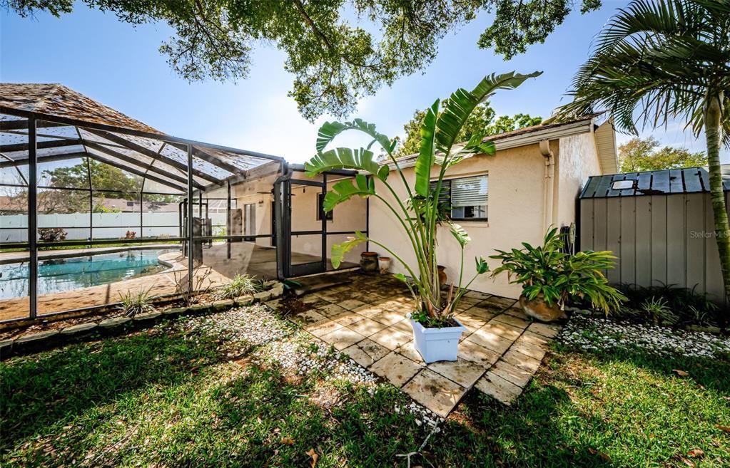 Backyard, Exterior, Pool, Sun Room